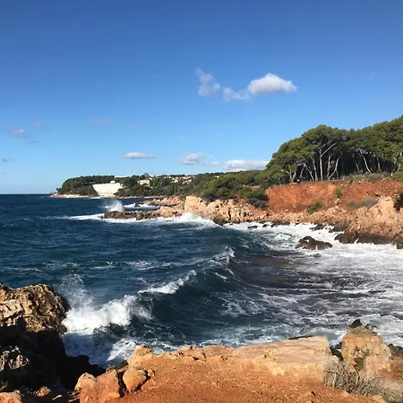 Le Sayula * Bandol